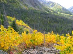 Cottonwood Trail in September