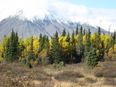 King's Throne in fall