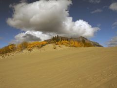 Carcross Desert