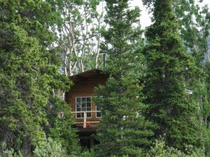 Wilderness Cabin to rent