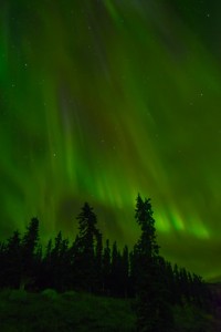 Northern Lights Viewing in Yukon Canada