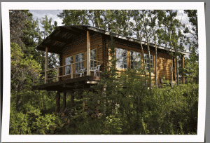 Wilderness Cabin Rentals