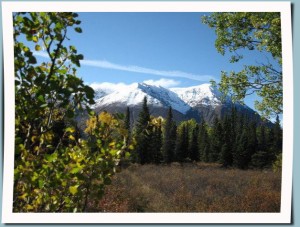St. Elias Mountain range on a Kluane National Park Day Tour